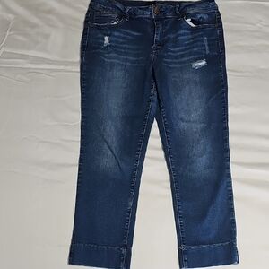Adrianna Papel 1822 Denim Factory Distressed Capris